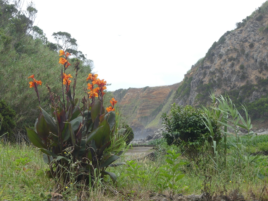 P1300162