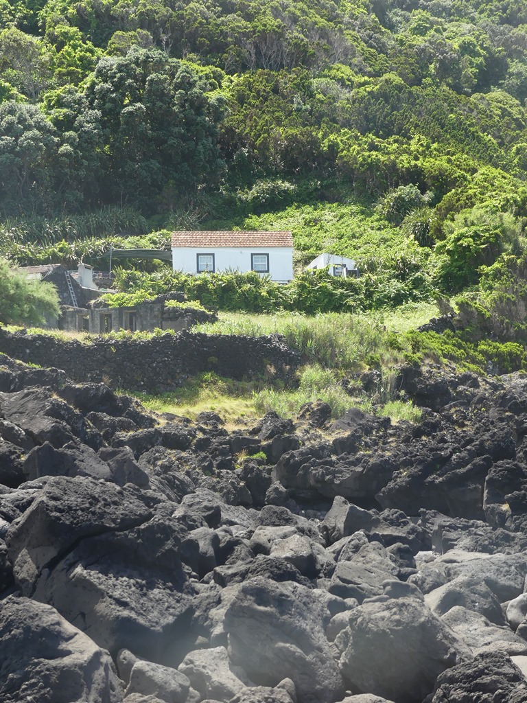 P1300670