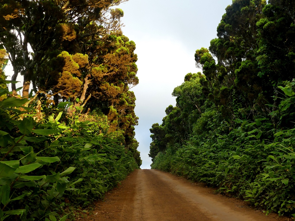 P1300789