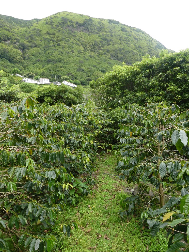 P1300827