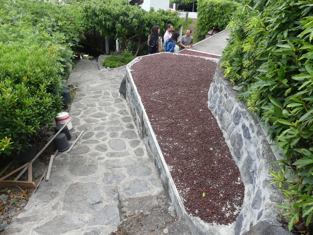 P1300831