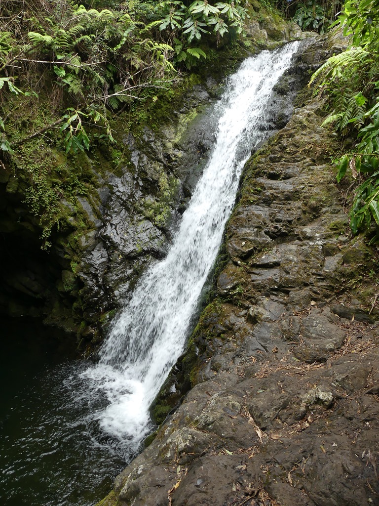P1300899