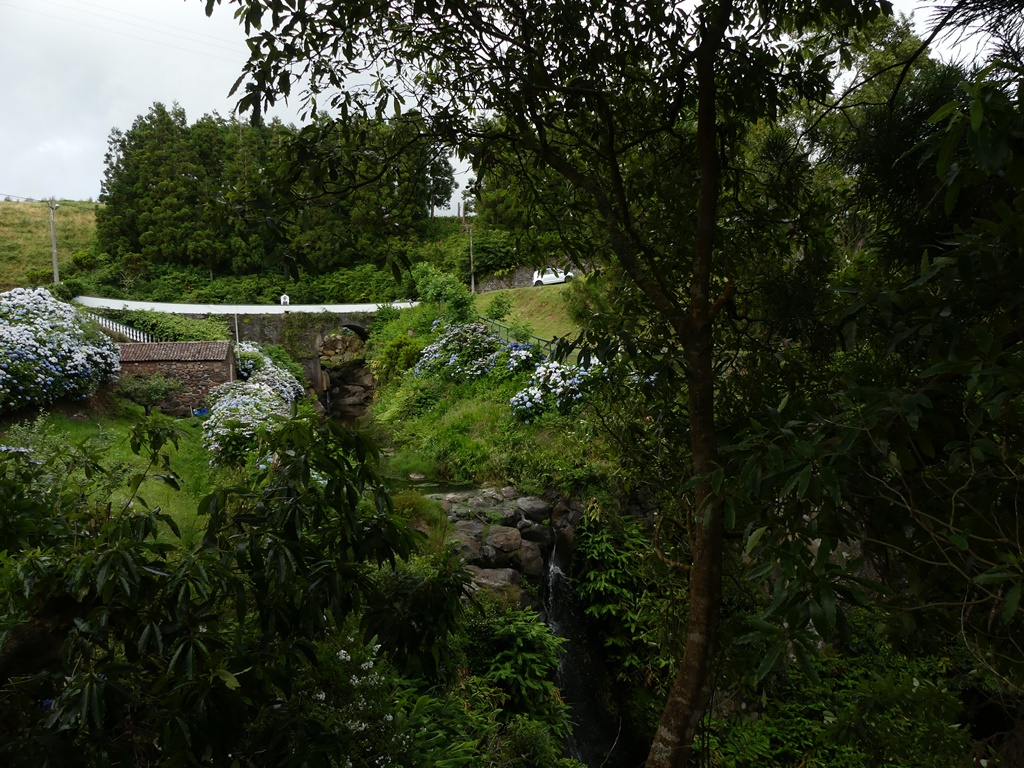 P1310004