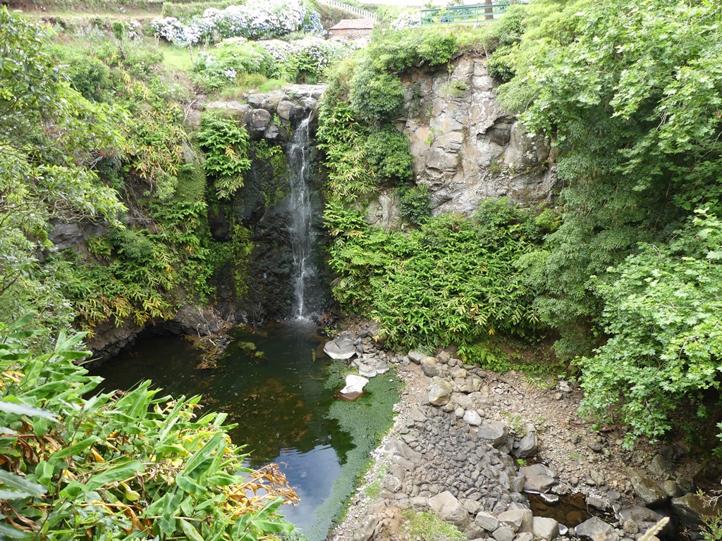 P1310006