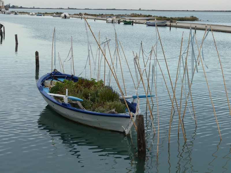 P1310876