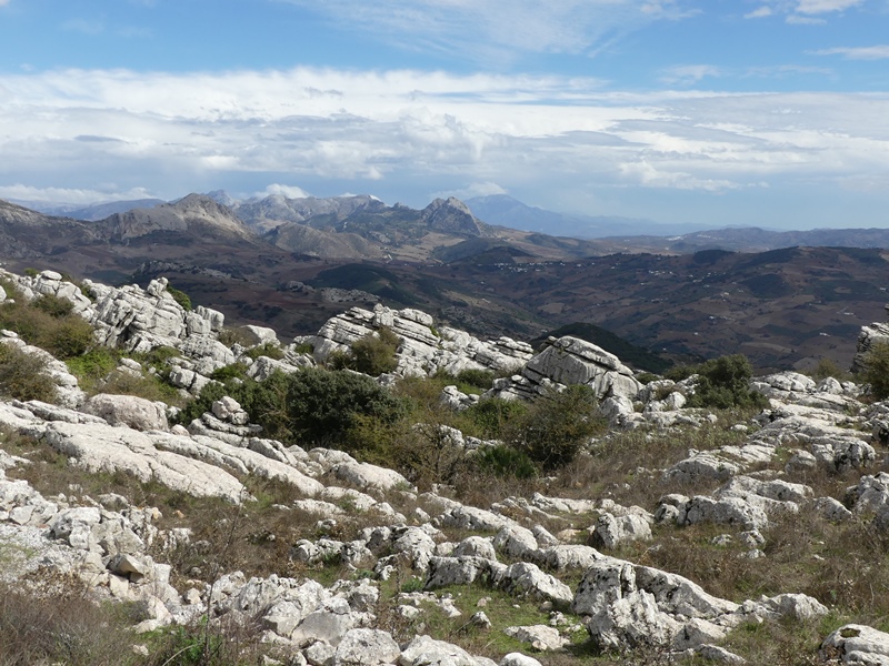 P1320014