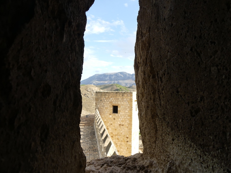 P1320082