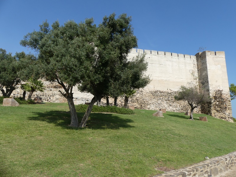 P1320225