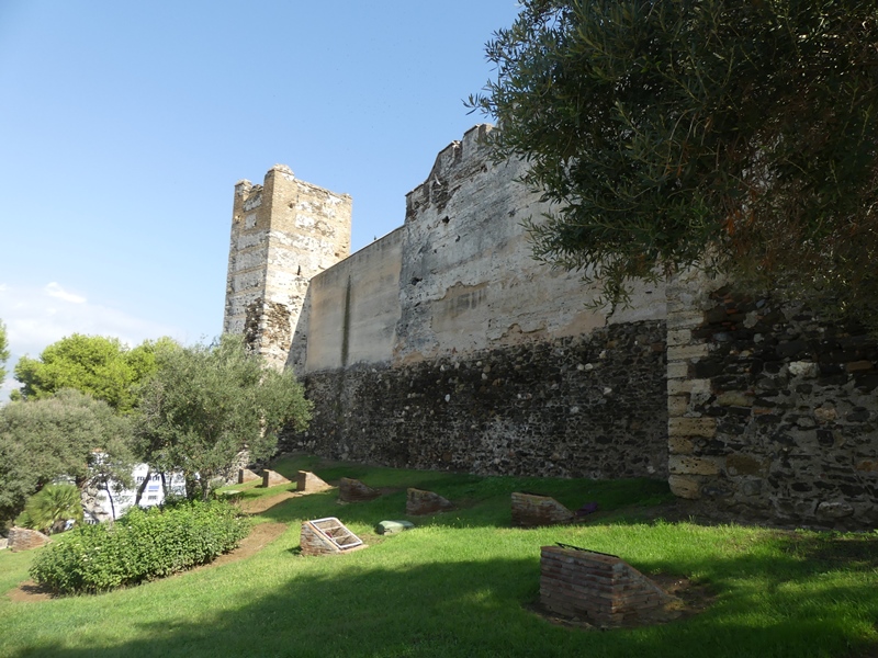 P1320233