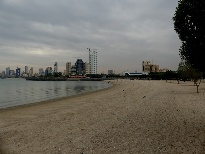 P1320313