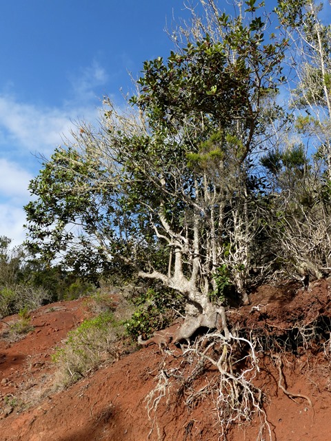 P1430040
