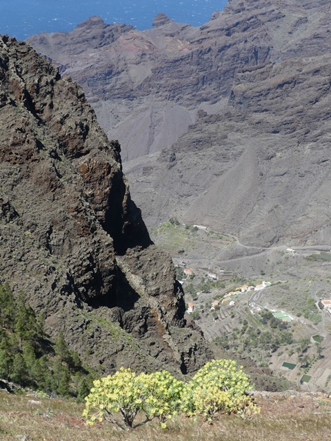 P1430139