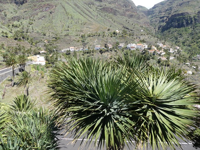 P1430153