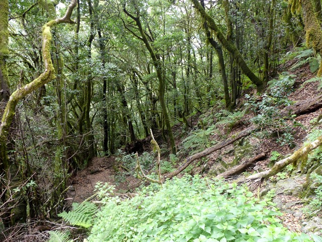 P1430228