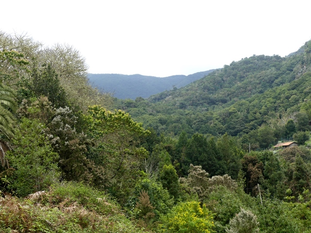 P1430242