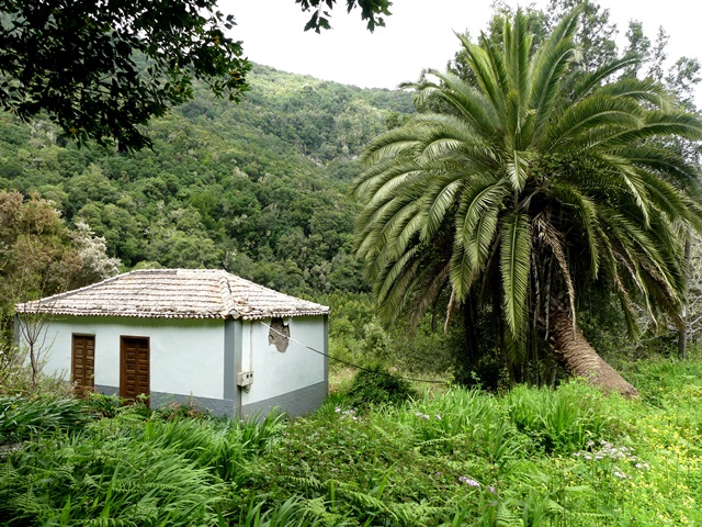 P1430243