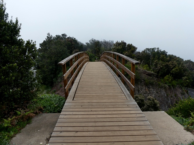 P1430295