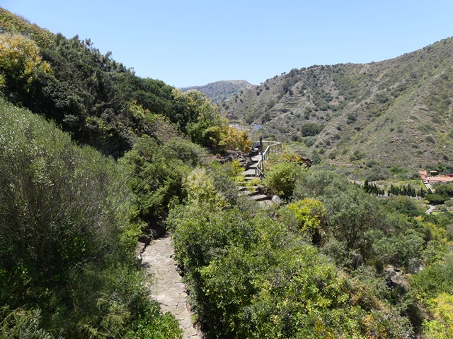 Botanická zahrada: Jardin Canaria- vstup zdarma