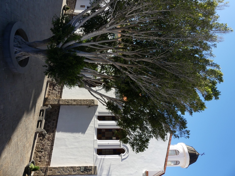 P1430788