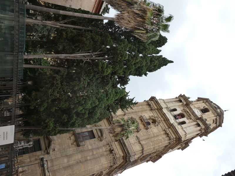 P1450042