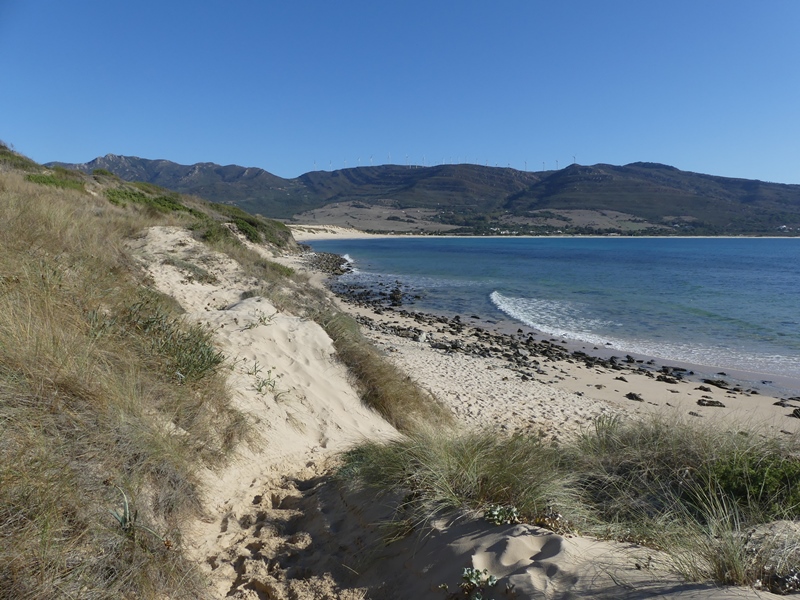 Playa Paloma