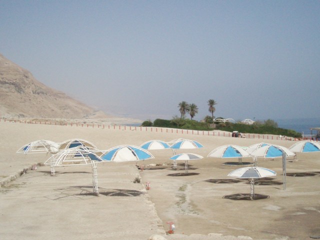 P1010108