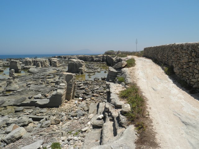 P7040659