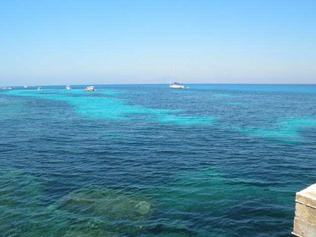 P7040684