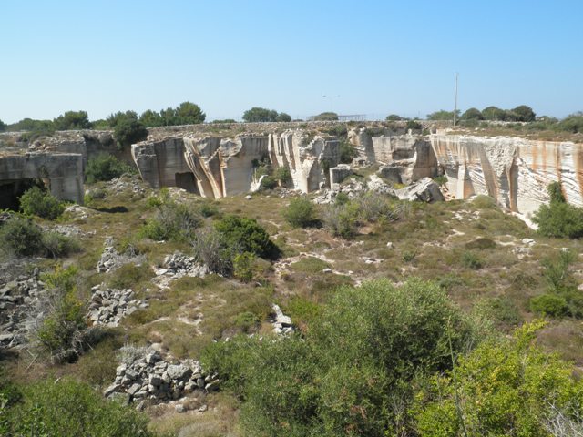 P7040699