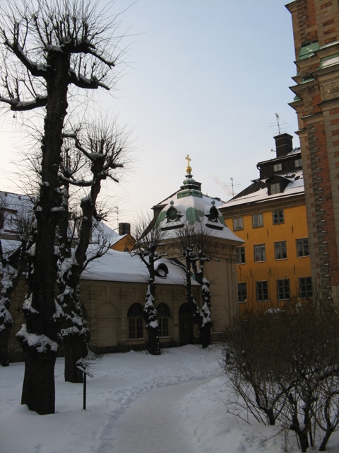 IMG_6843