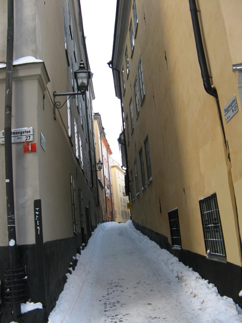 IMG_6845