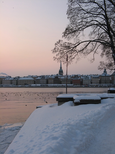 IMG_6901