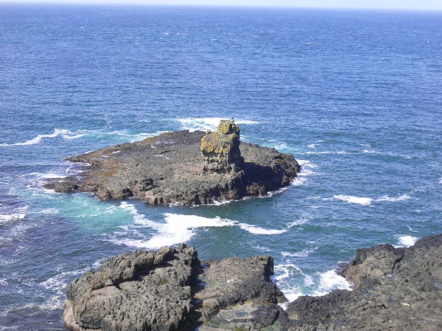 P1000719
