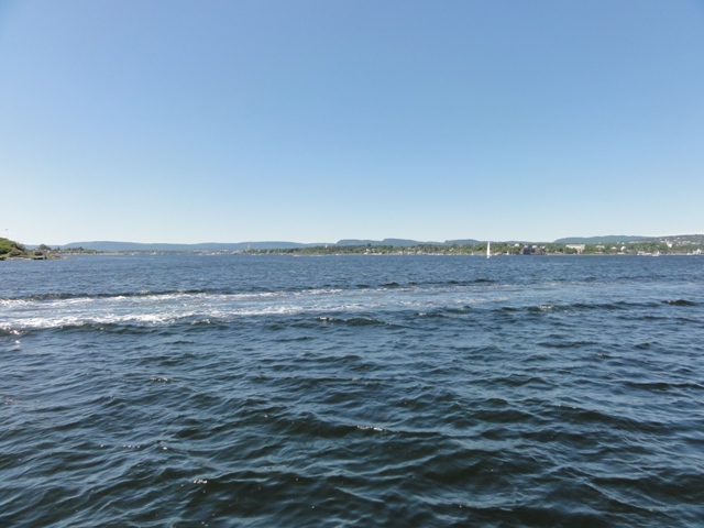 DSC00716