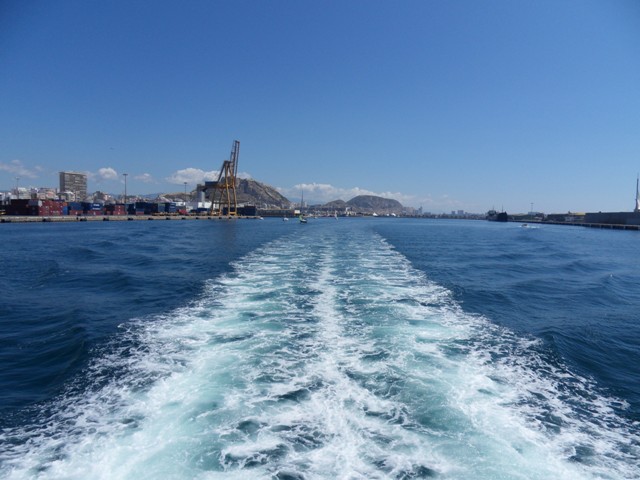 SDC17985