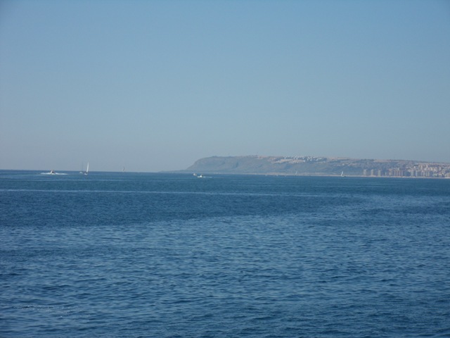 SDC17994