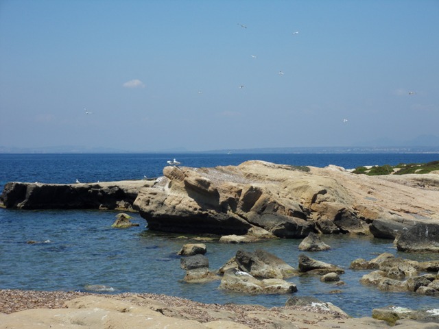 SDC18060