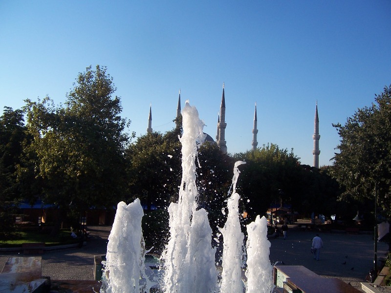 100_1896