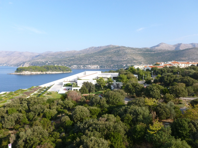 P1000019