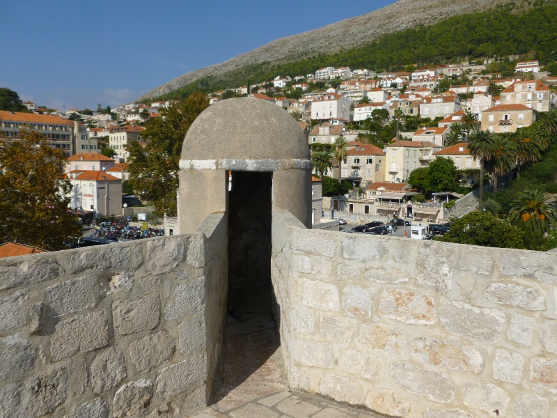 P1000057