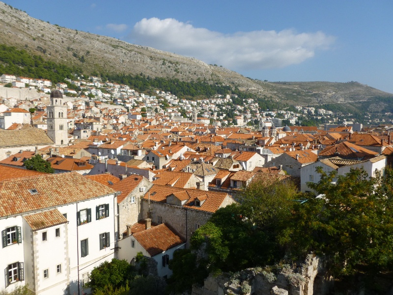 P1000072