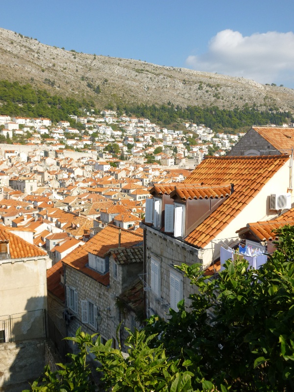 P1000078
