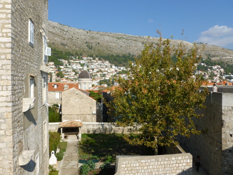 P1000093