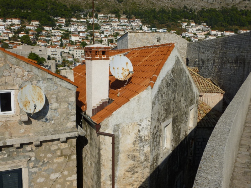 P1000102