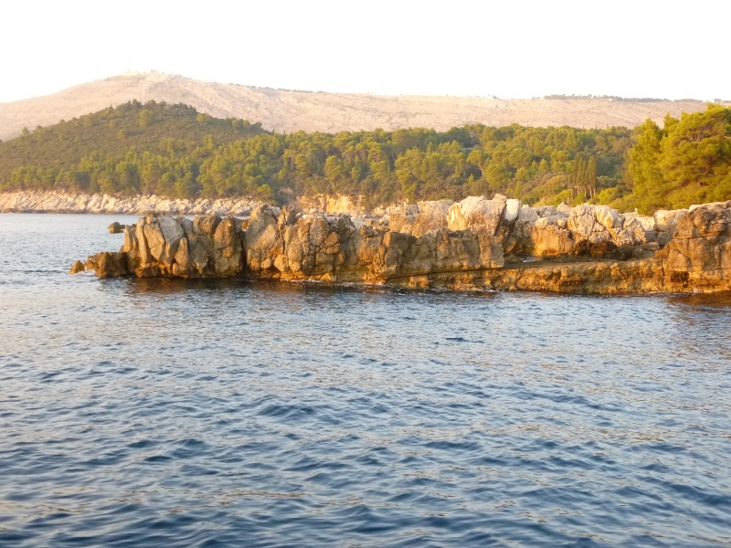 P1000268