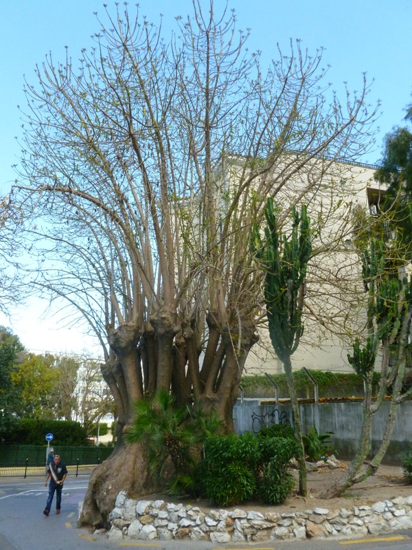 P1010645