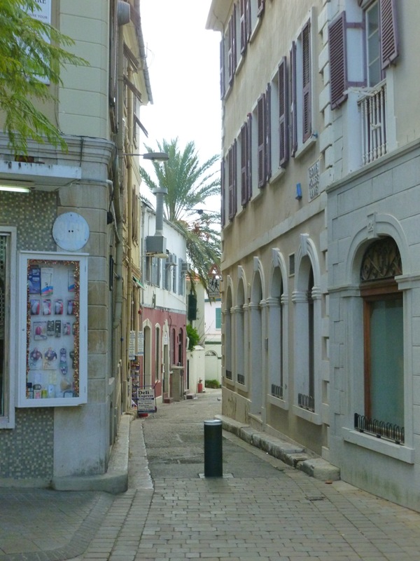 P1010664