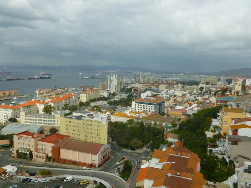 P1010804