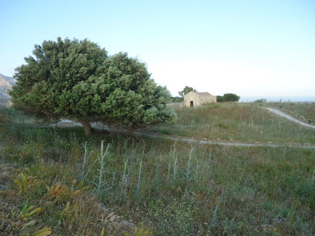 DSC01565