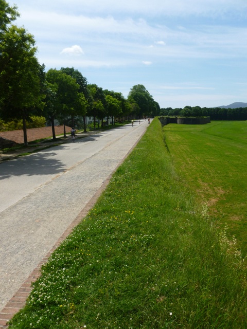 P1020284